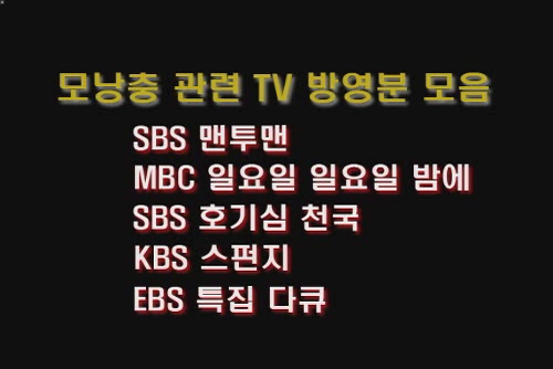 모낭충의 실체(3개방송사 방송종합)
