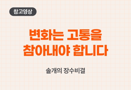 솔개