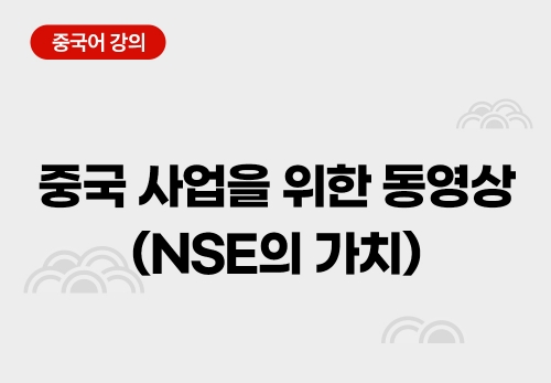 중국 사업을 위한 동영상 모음(NSE의 가치)