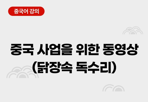 중국 사업을 위한 동영상(닭장속 독수리)