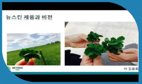 [8.13] TE 김윤희 - 뉴스킨 제품과비젼