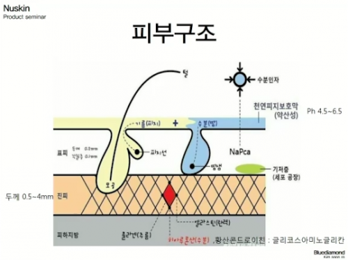 [5/19] BD 김순라 - 뉴스킨 제품
