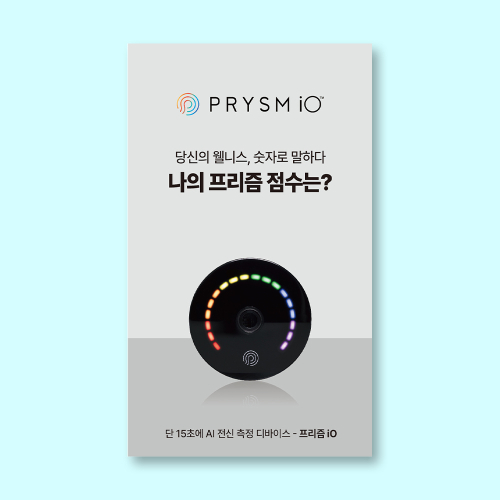 프리즘iO 2단 접지